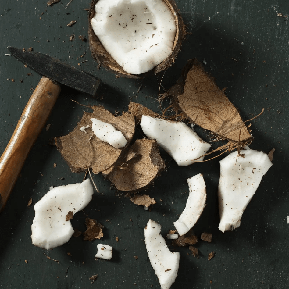 A coconut broken open